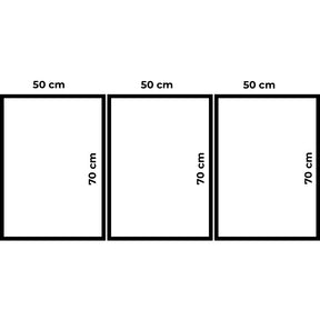 Kit 3 Quadros Com Moldura Decorativos Gold 50x70